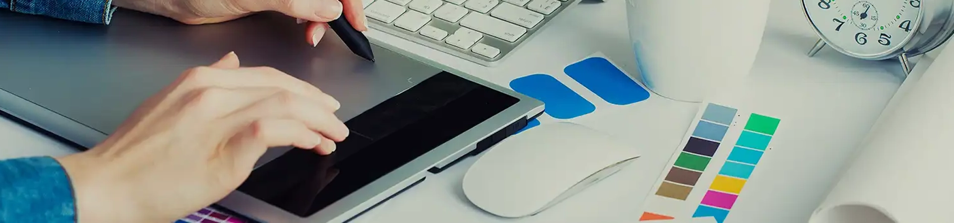 B.Sc. – Multimedia, Animation & Graphics